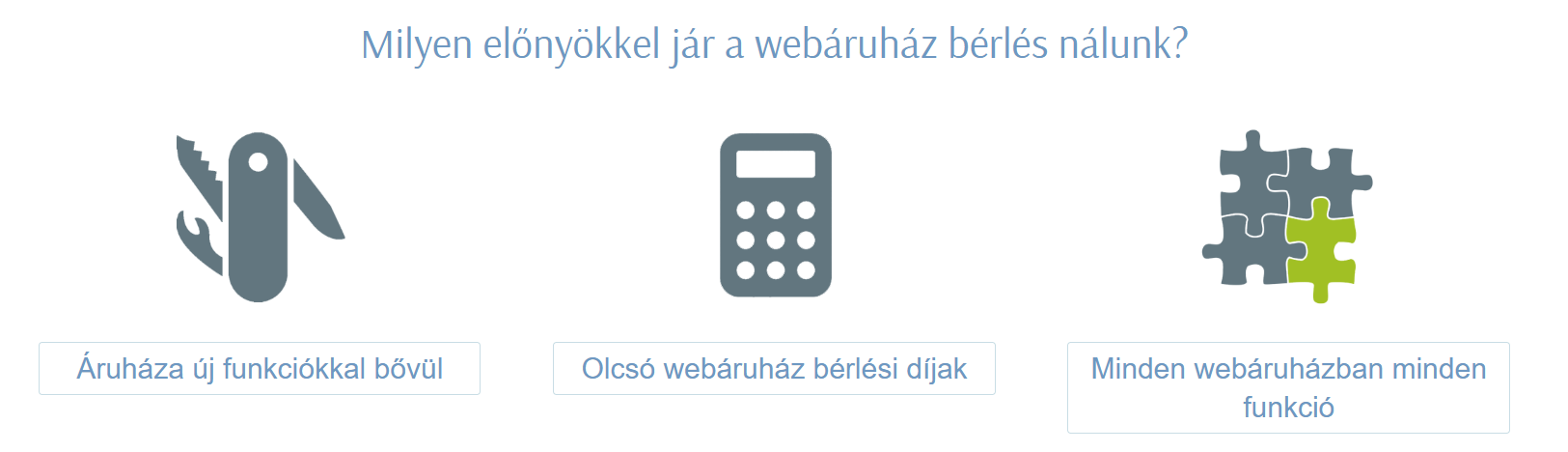 Webshop üzemeltetés